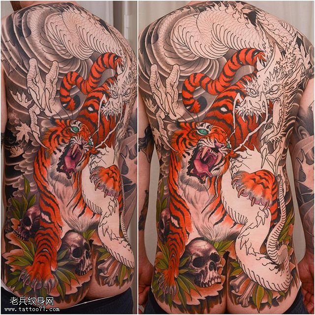 满背彩绘龙虎大战纹身图案