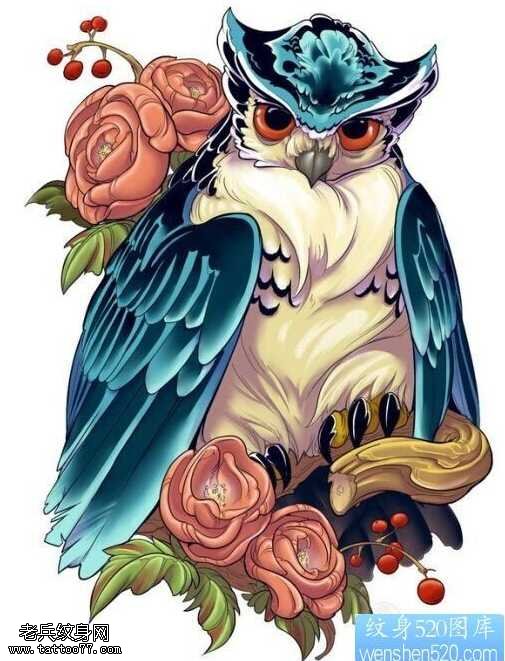 手稿彩色猫头鹰纹身图案