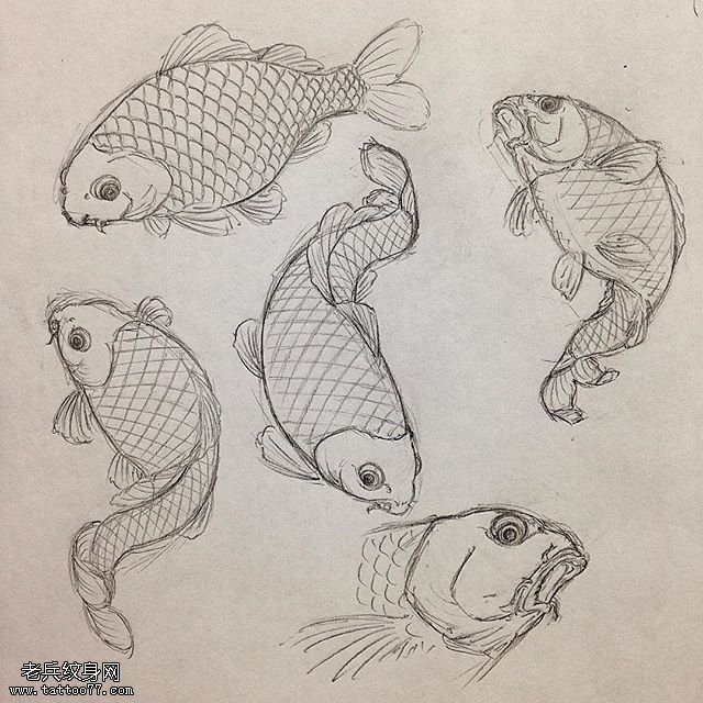 手稿五只金鱼纹身图案