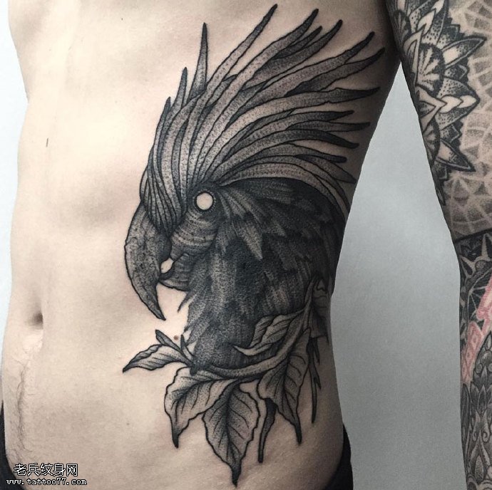 腹部的鹰头纹身图案