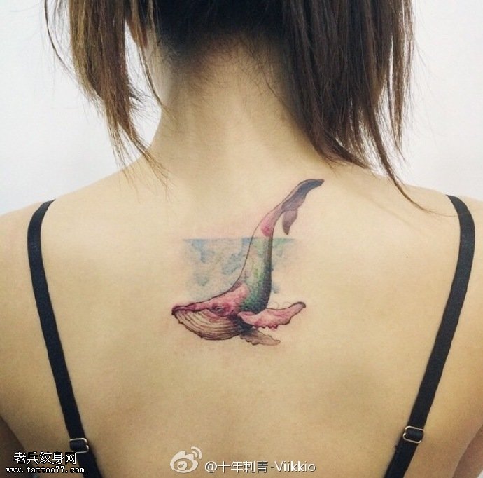 背部水彩的一条鲨鱼纹身图案