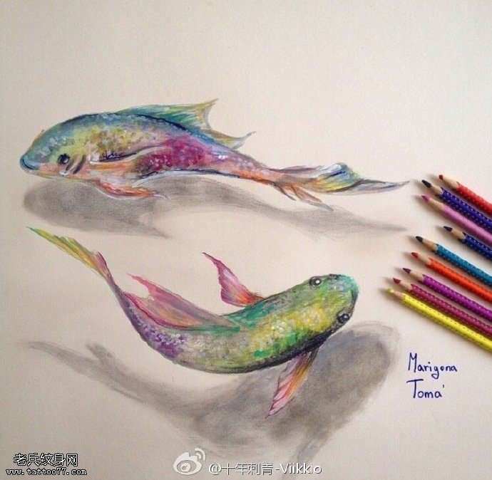 经典手稿彩绘两条金鱼纹身图案