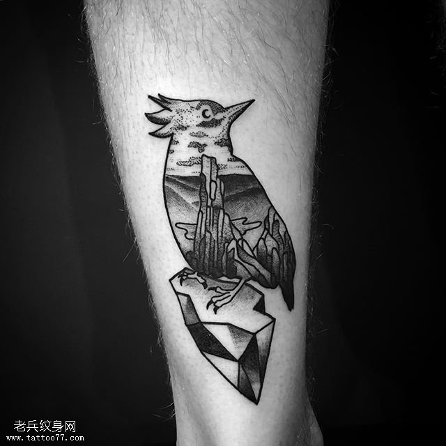 小腿的图腾啄木鸟纹身图案