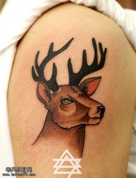胳膊鹿纹身图案