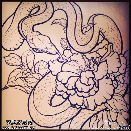蛇与牡丹纹身手稿图片