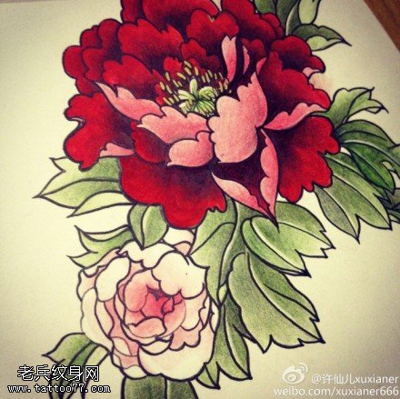 彩色个性国花牡丹纹身手稿图案