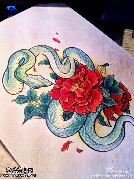 彩色牡丹蛇纹身手稿图案