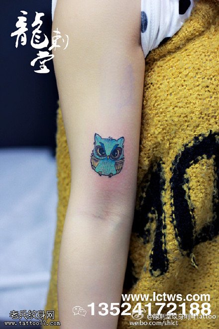 可爱小清新猫头鹰纹身图案