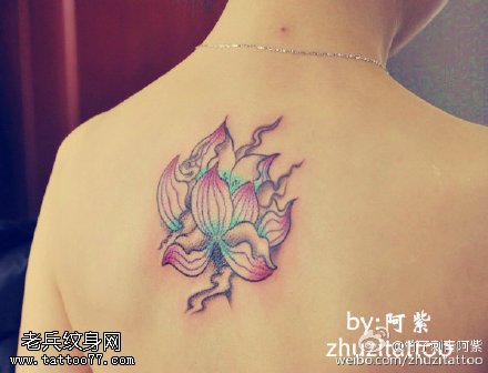 中国风粉嫩莲花纹身图案