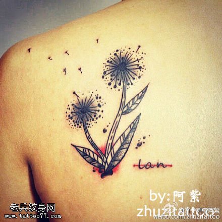 肩部点刺蒲公英纹身图案