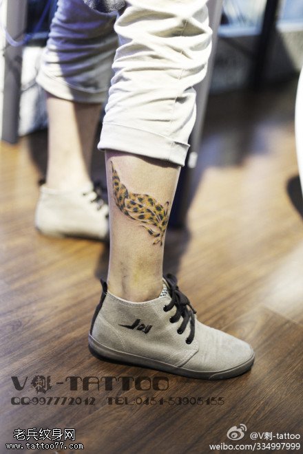 色彩鲜艳羽毛纹身图案