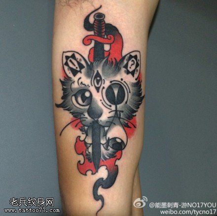 手臂彩色猫咪匕首纹身图案