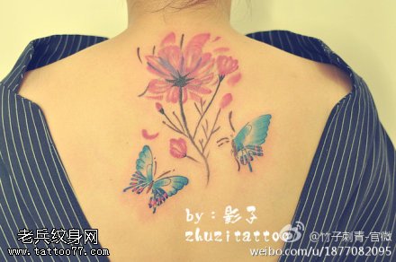背部宝蓝色蝴蝶粉嫩合欢花纹身图案