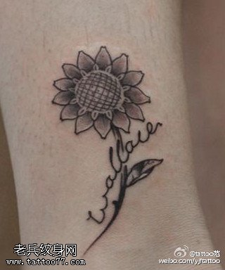 黑灰向日葵刺青纹身图案