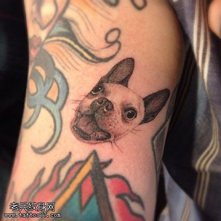 可爱的小巴巴狗纹身图案