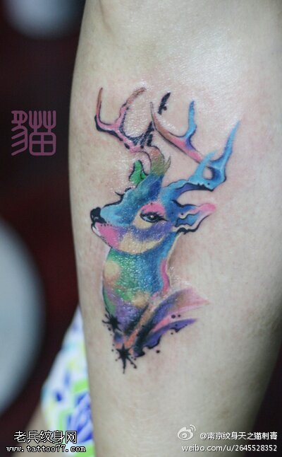 腿部彩色星空羚羊纹身图片