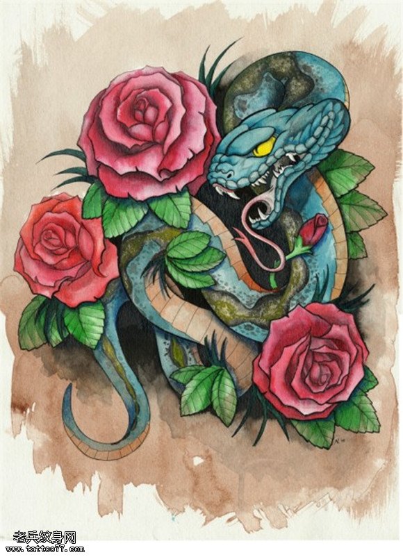 彩色蛇牡丹纹身手稿图片