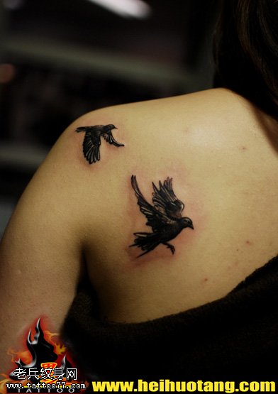 肩头单色小迷你鸽子纹身图案