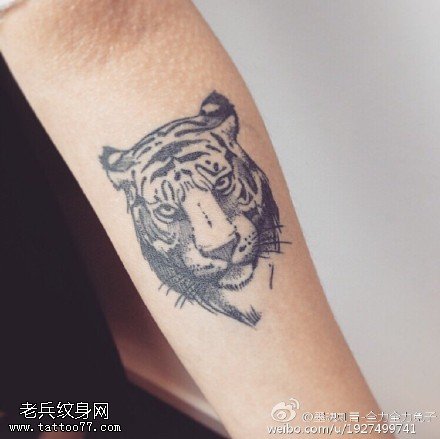 经典凶猛老虎纹身图案
