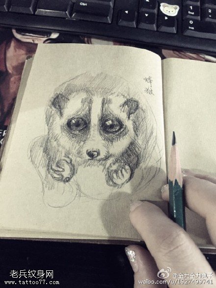 经典手绘小熊纹身图案