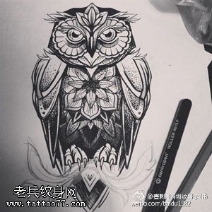 手绘经典猫头鹰纹身图案