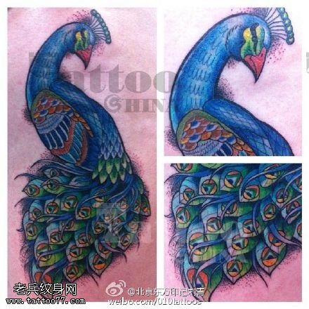 手绘美丽的孔雀纹身图案