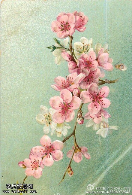 清新优美的桃花纹身图案