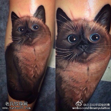 棕色可爱的小猫咪纹身图案