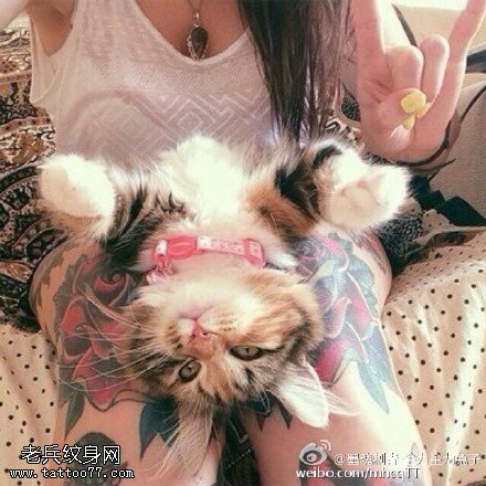 时尚爱猫美女纹身图案