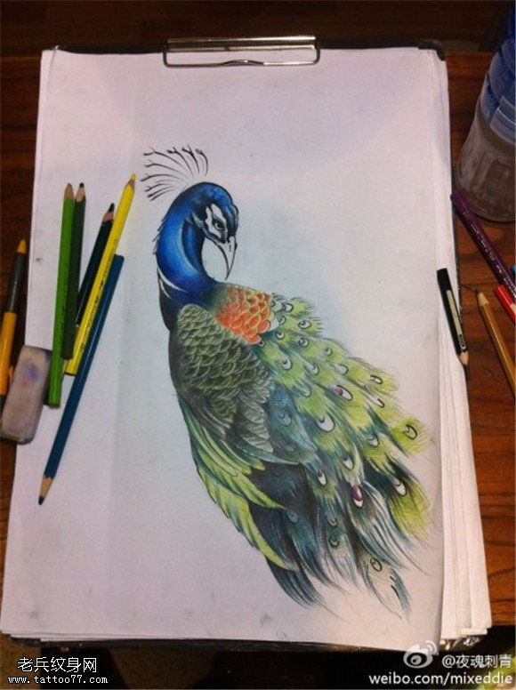 彩色卡通孔雀纹身手稿图片