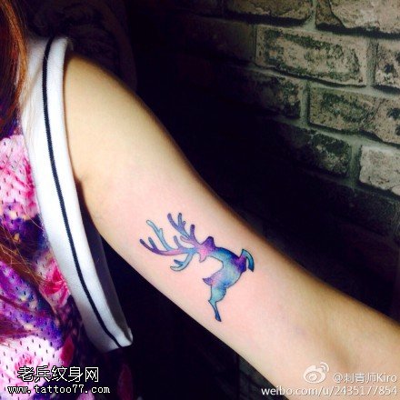 手臂彩色星空羚羊纹身
