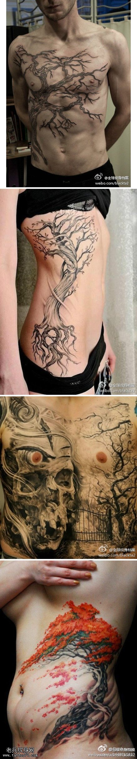 生命之树纹身图案