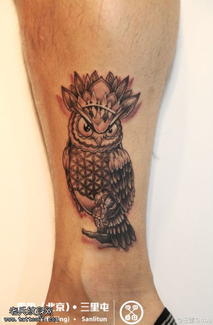 精致有神猫头鹰纹身图案