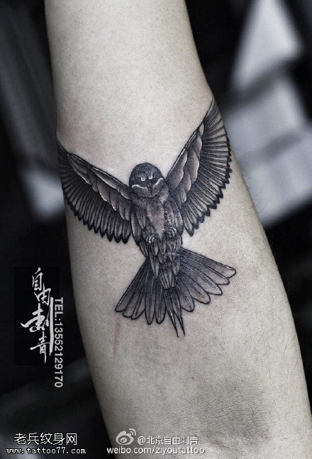胳膊猫头鹰点刺纹身图案