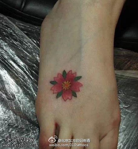 一朵美丽的樱花纹身图案
