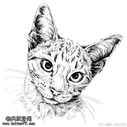 精致可爱的小猫咪纹身图案