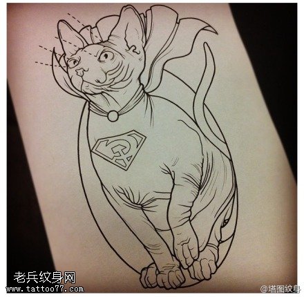 猫咪线稿纹身手稿图案