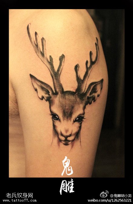 胳膊美丽鹿头纹身图案
