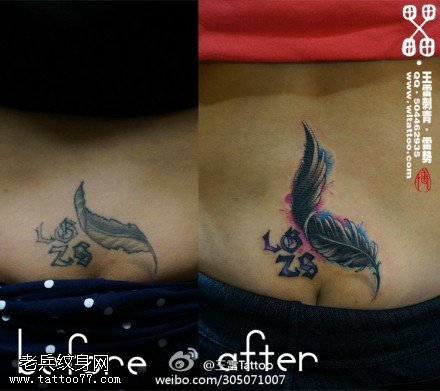 精美柔和羽毛纹身图案