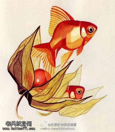 漂亮优美的小金鱼纹身图案