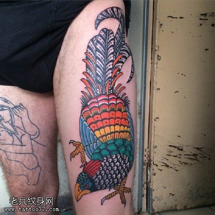 彩绘漂亮的孔雀纹身图案