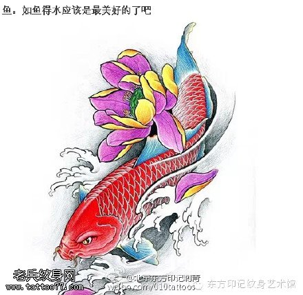 漂亮的莲花锦鲤纹身图案