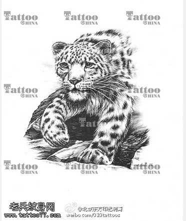 呆萌的豹子手稿纹身图案