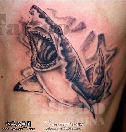 逼真写实的大鲨鱼纹身图案
