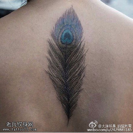 背部经典的孔雀毛纹身图案