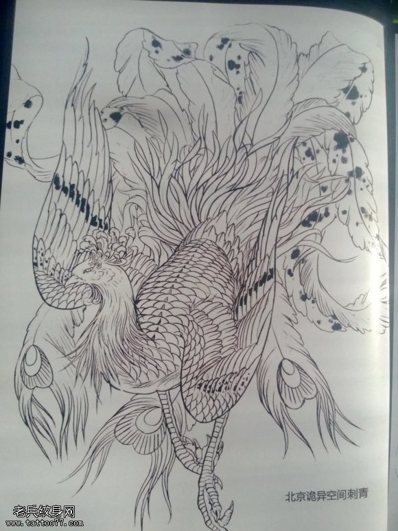 凤凰纹身图案手稿