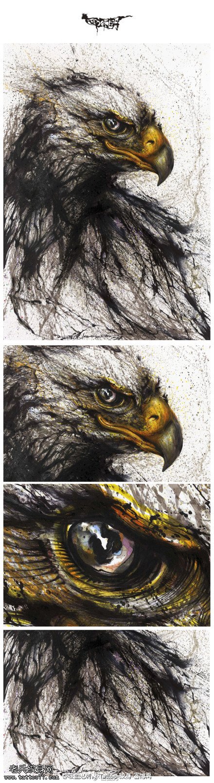 威风霸气鹰纹身图案手稿