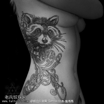 呆萌卡哇伊小浣熊纹身图案