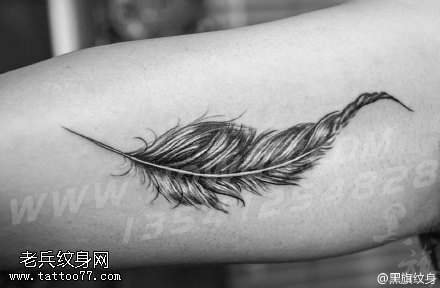 简单清新的羽毛纹身图案