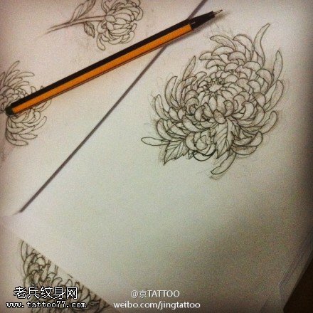 高洁淡雅菊花纹身图案手稿